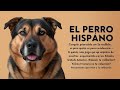 "El Perro Hispano: cualquier parecido con la realidad es pura coincidencia... o quizás, sólo quizás