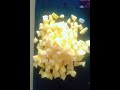 Which Kind Of Breakfast I M Going To Prepare Which Kind Of Breakfast I M Going To Prepare