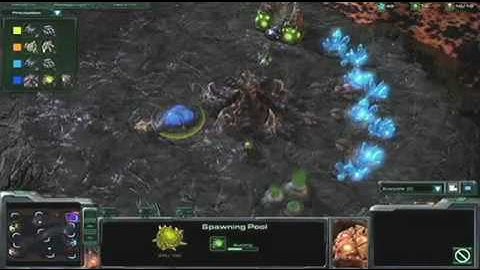 BlizzCon 2009 2v2 StarCraft 2 Exhibition Match Part 1/3
