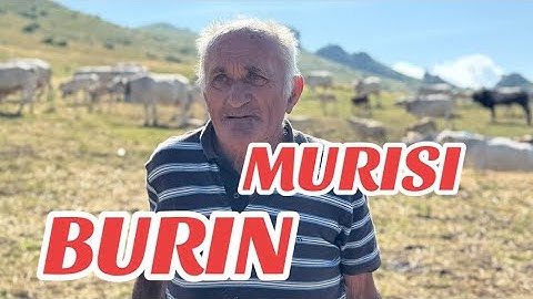 3* TRANSHUMANCE “MURISI BURIN” 80 years Alpe grange Serri ACCEGLIO Maira valley (CN)
