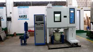 Temperature Humidity Vibration Combined Test System