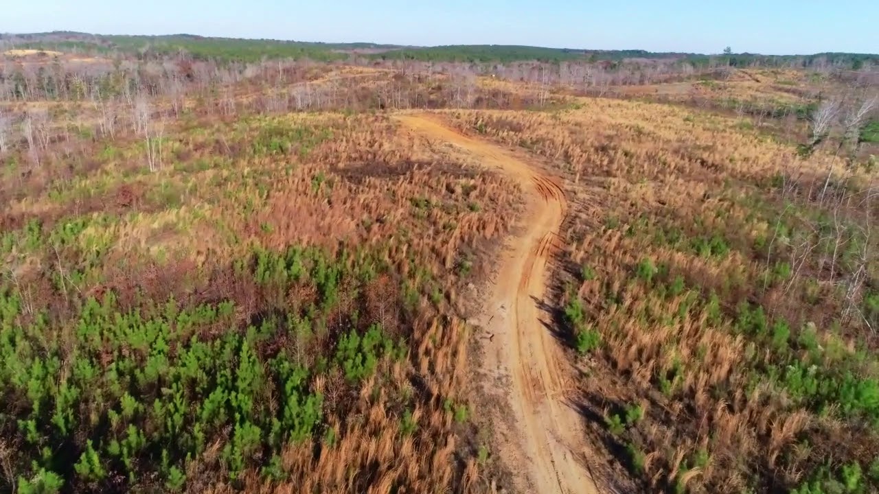 Chilton County Alabama 227+/ Acres For Sale YouTube