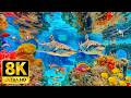 Luminous Underwater Creatures in 8K HDR | Dolby Vision™