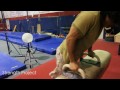 Pommel Horse Planche Workout- How to do a planche tutorial workout progression exercise