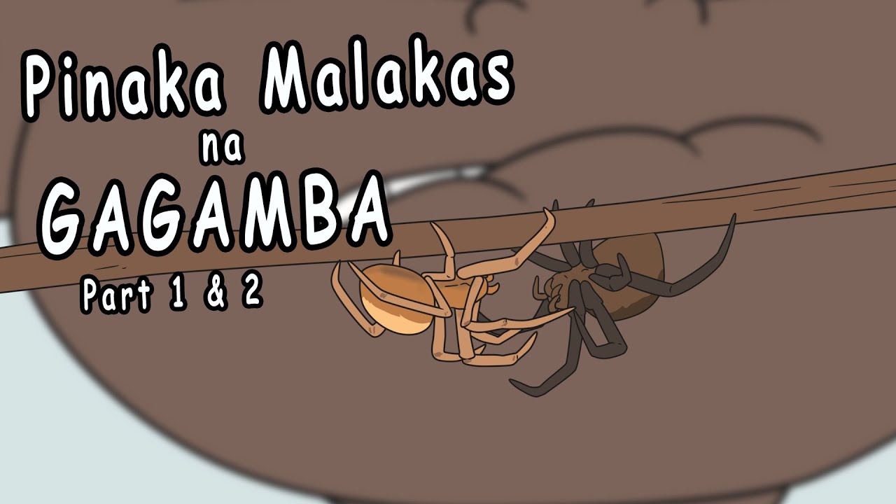 Pinaka Malakas na Gagamba Part 1 and 2 | Pinoy Animation