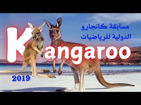 كانجارو 2025 شرح وحل أسئلة مسابقة ٢٠١٩  1 درب نفسك المستوى الخامس 1 7