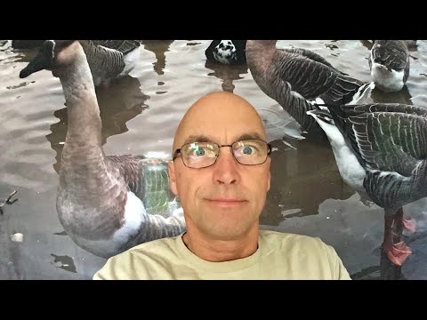 live streaming rmc sport Whitehouse Assistant #FixYouTubeAppeals June 6, 2018