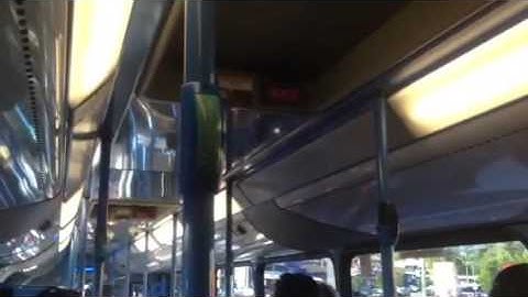 Transdev QLD Bus Route 250 Outbound