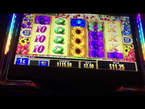 Autumn Moon-Pompeii- Rainbow Cash at Chumash Casino