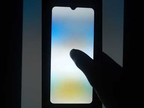 Shaun The Sheep What S Up Dog Birthday Off Shorts