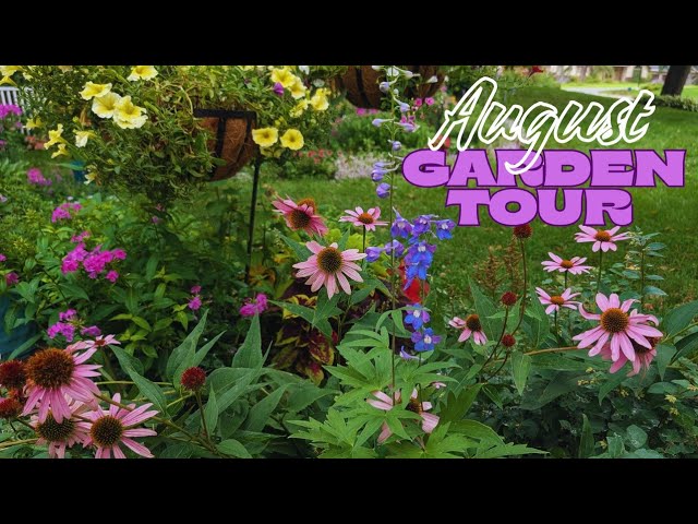 August Garden Tour in Minnesota, Zone 4b/5a 🌸🌿 - YouTube