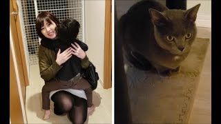 ママが出掛けちゃうから子供大泣き＆泣き声にビビる灰色猫