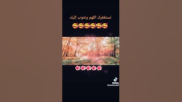 ما تيسر من سوره نوح بصوت القارئ محمد حسين العواودة ❤️
