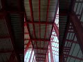 apple store #tranding #youtube #construction #viralreel #cjp #cockroachjantaparty