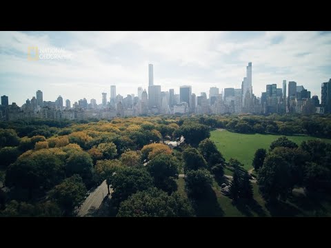 Wideo: Przewodnik dla odwiedzających Central Park