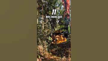 How many trees can we collect in one go?