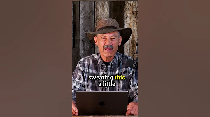 What to Shoot with 243 Winchester