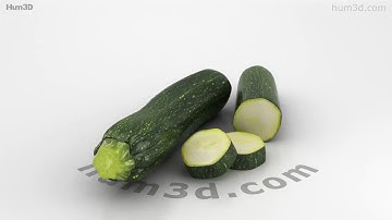 Zucchini 3D model by 3DModels.org