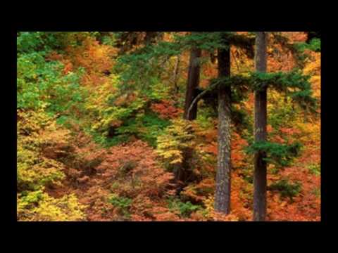 Darque - Goodbye (feat. Ree Morris)