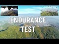 Reptile Harrier S1100 - 4S1P #How Far it can go