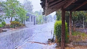 WALK IN COOL LIGHT RAIN IN MY VILLAGE LIFE | RAIN WALK | ASMR
