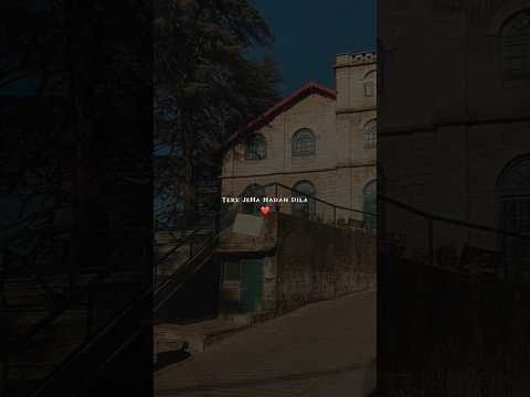 Dildarian || Dildarian