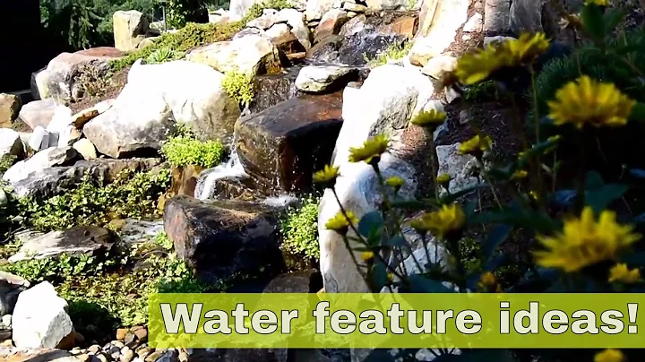 Why we use plants in water features