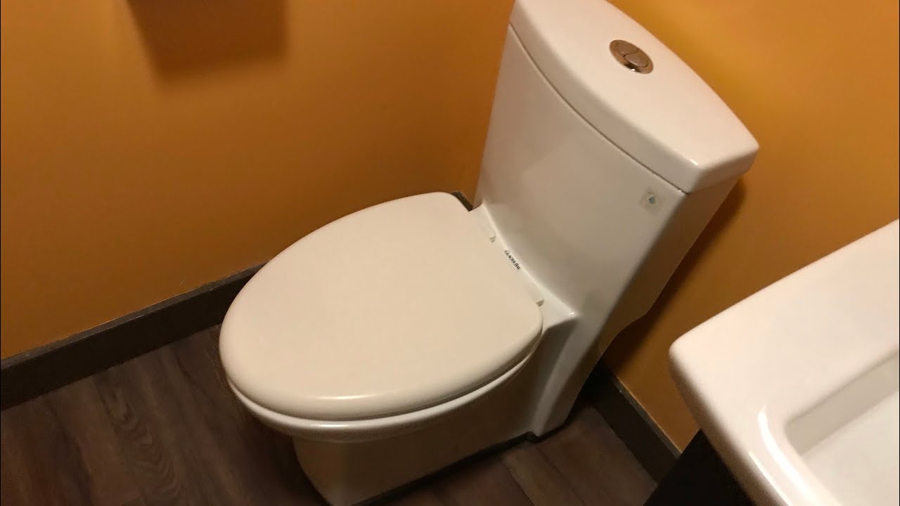 Circa 2018 Glacier Bay Dual Flush Toilet - YouTube