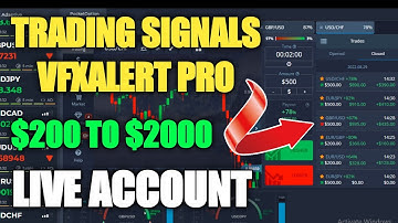 Trading signals vfxAlert pro - $200 to $2000 in Pocket Option | High Accuracy Signal