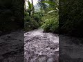 Focus Fast with River Sounds 📖