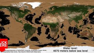 Human Population Through Time