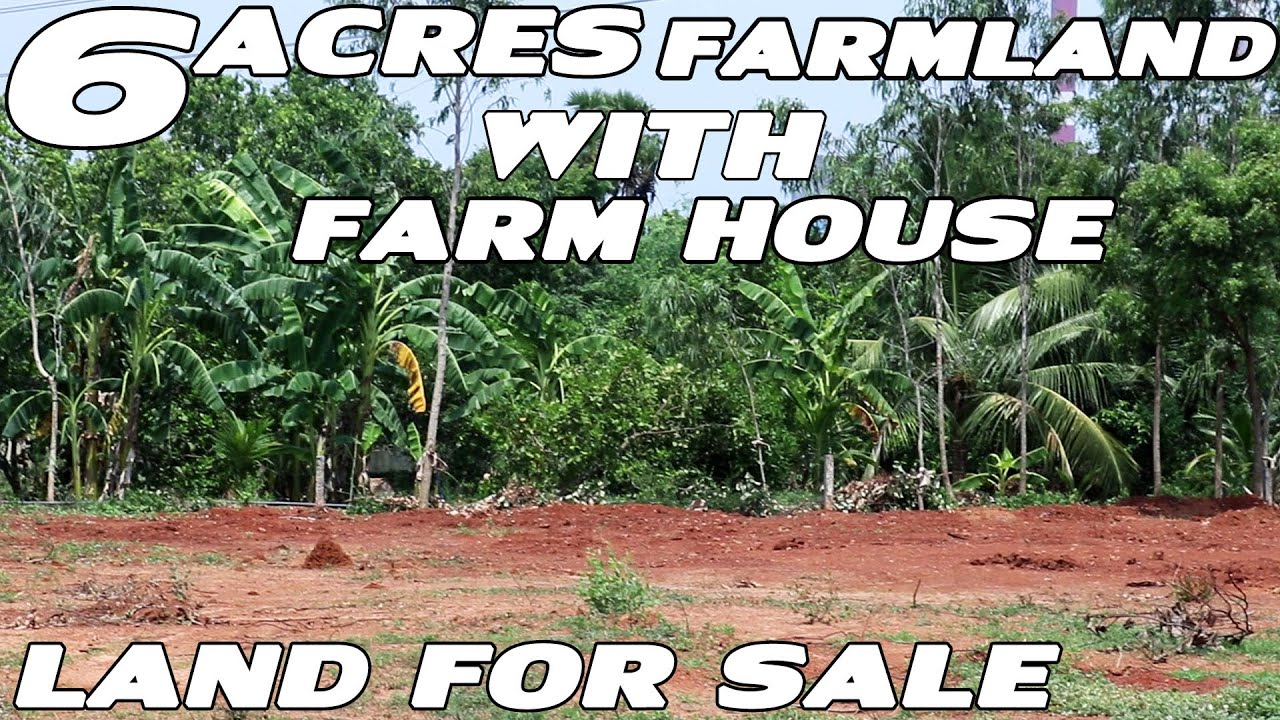 3 ACRES FARMLAND WITH FARMHOUSE FOR SALE IN VIZAG CAPITAL NEAR