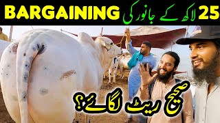 First Time 25 LAKH Ke BULL Ki BARGAINING Ki ft. AR Maani Sohrab Goth Cow Mandi Bakra EId 2022