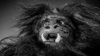 Terror in the Midnight Sun (1959)
