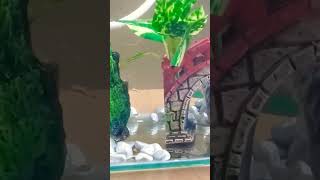 Download Lagu subahana alha MP3