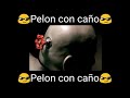 Pelon con caño 😎