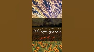 عجم ماتع سورة عبس  #quran   #اكسبلور #لايك