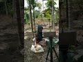 Makan bersama dalam kebun