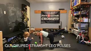 Quadruped Straight Leg Pulses