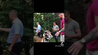 Conor Mcgregor Meets A Real Tiger And Wrestles Him?