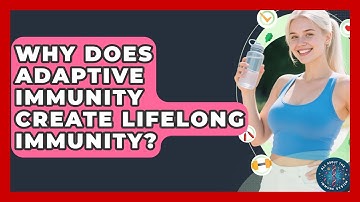 Why Does Adaptive Immunity Create Lifelong Immunity? - All About the Immune System