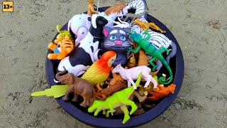 Cute animals-cow zebra parrot cat horse dinosaur camel frog sheep elephant tiger lion.. 🔥🔥🔥 screenshot 1
