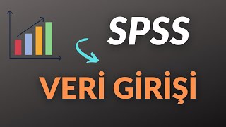 Spsse Anket Veri̇ Gi̇ri̇şi̇ Nasil Yapilir ?