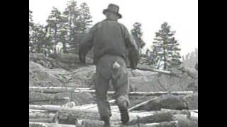 Här Har Du Ditt Liv 1966 Svensk Klassiker 2/17 Allan Edwall