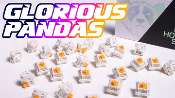 Glorious Pandas: Holy Cow they THOCK??