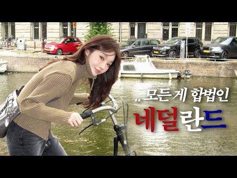 커피숍에서 대ㅁㅊ를? 암스테르담에 가면 벌어지는 일..
