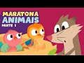 🟠 MARATONA ANIMAIS 🐝🐜 - Parte 1 l O Show da Luna!