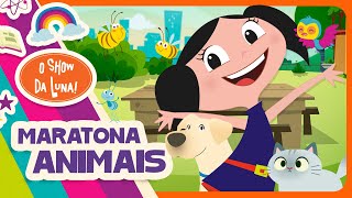  Maratona Animais - Parte 1 L O Show Da Luna