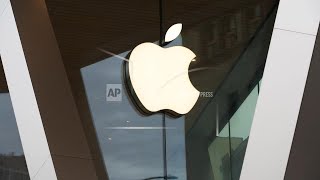 Apple shareholders reject proposal to scrap company's diversity programs, AP Explains