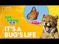 Worm Jokes and Humor Analysis